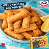南非炸魚手指